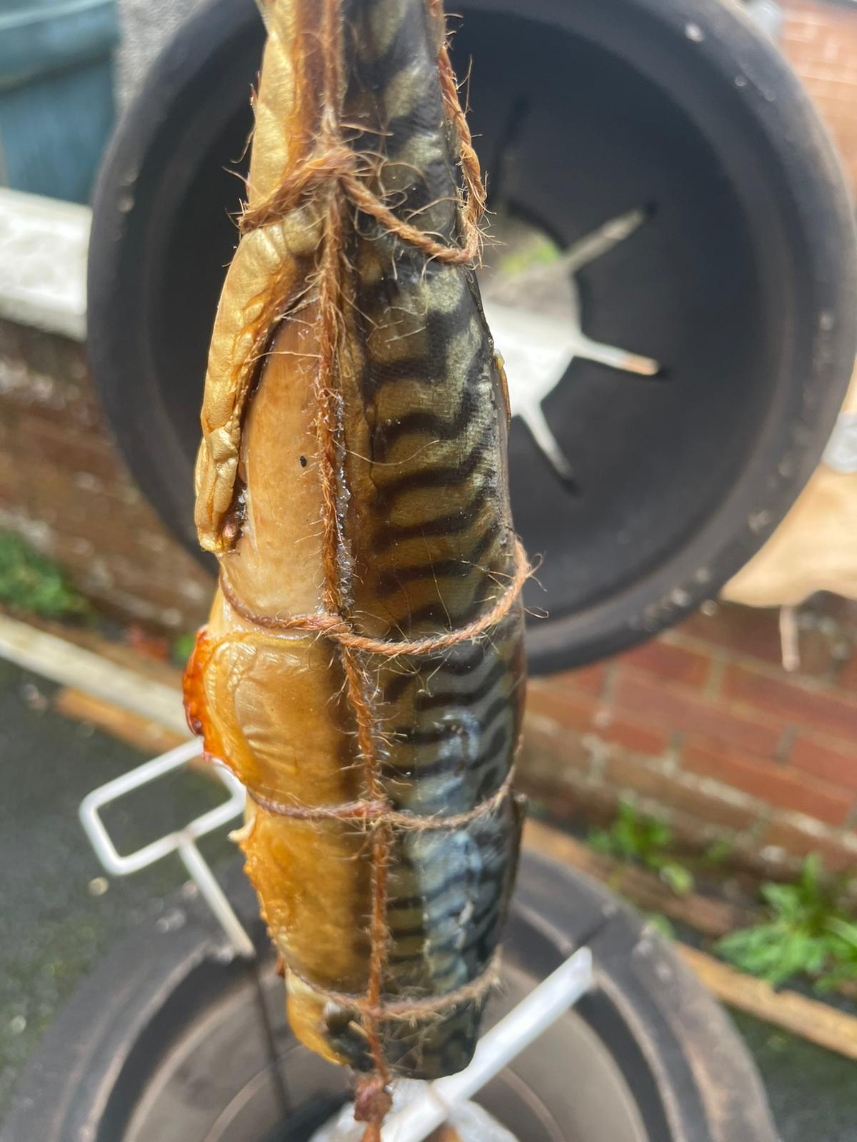 Hot smoked mackerel from your own tandoor